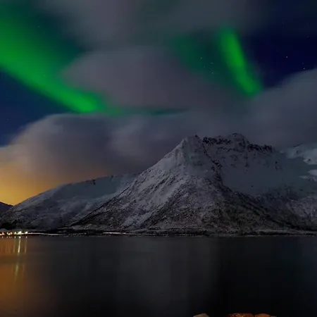 Lofothouse - A Luxury In Lofoten *